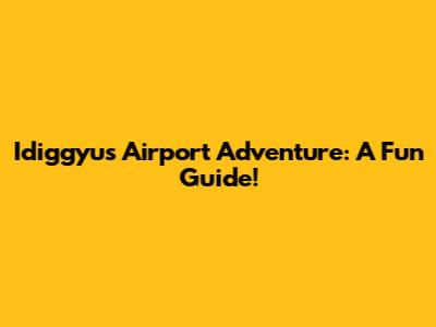 Idiggyu's Airport Adventure: A Fun Guide!
