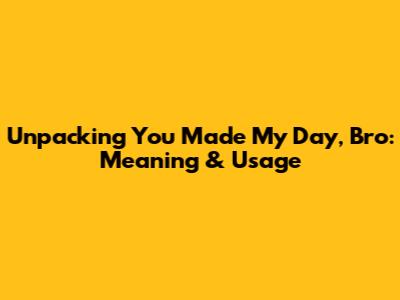 Unpacking 'You Made My Day, Bro': Meaning & Usage